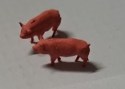 PIGS