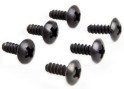 hsp02081