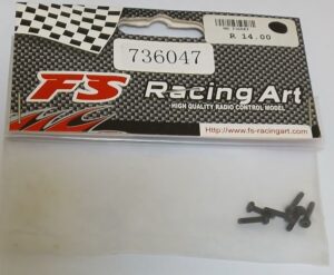 FS Racing Round Cross Machine Screws M2x8mm (6pc)